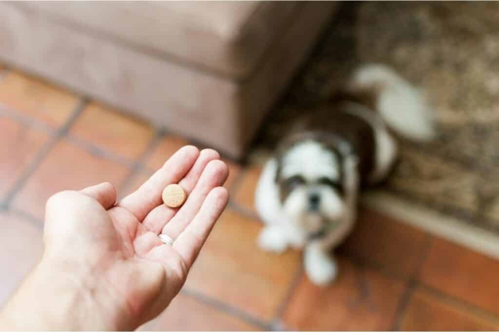 How Much Aspirin Can I Give My 70 Lb Dog