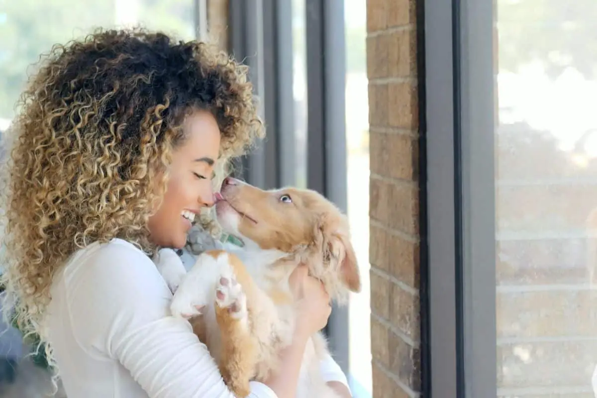 dog licking owner's nose