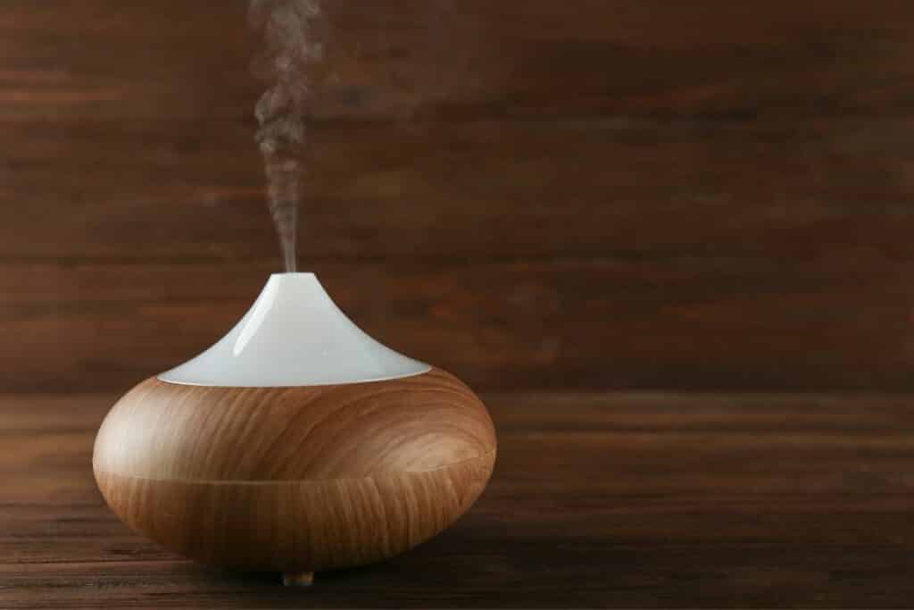 Can I Use An Essential Oil Diffuser Around My Dog?