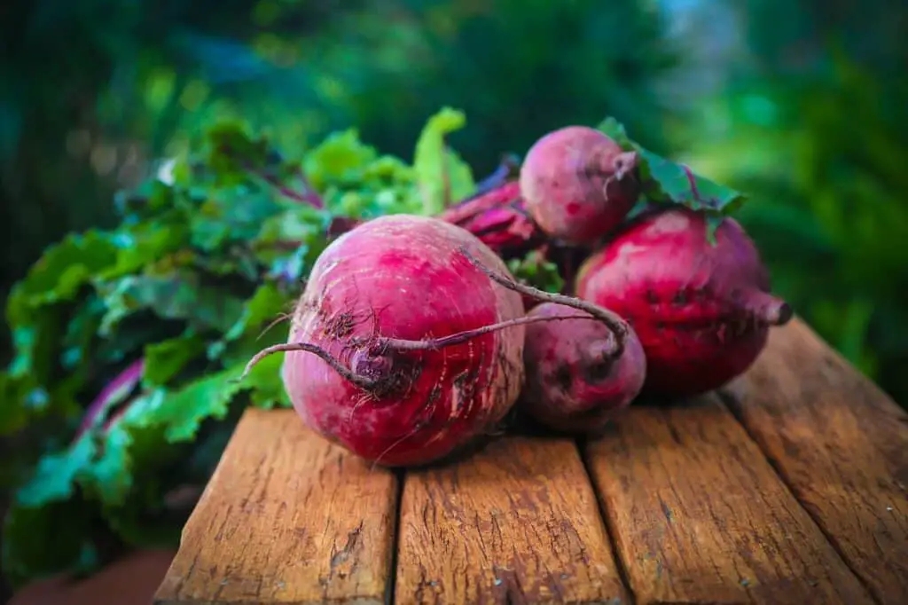 beet greens for dogs