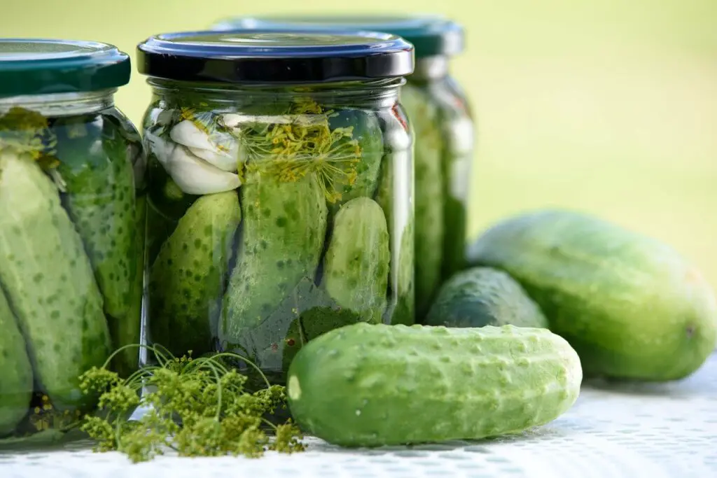 Dill Pickles
