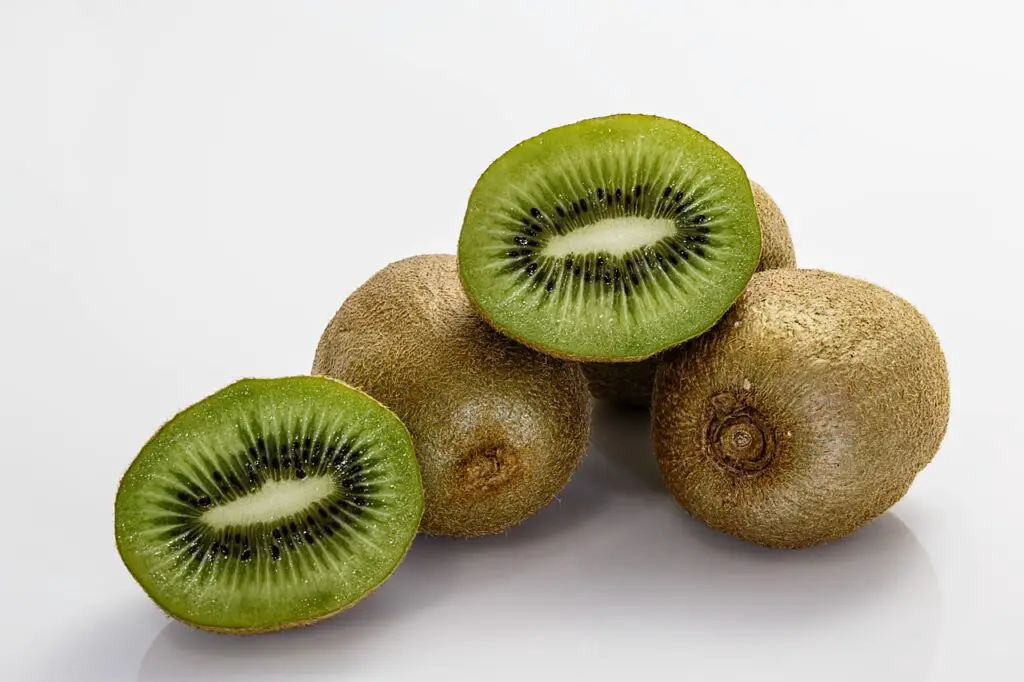 can puppies eat kiwi fruit