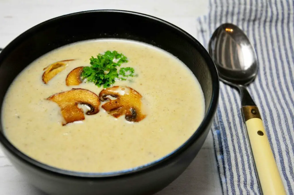 mushroom soup good for dogs