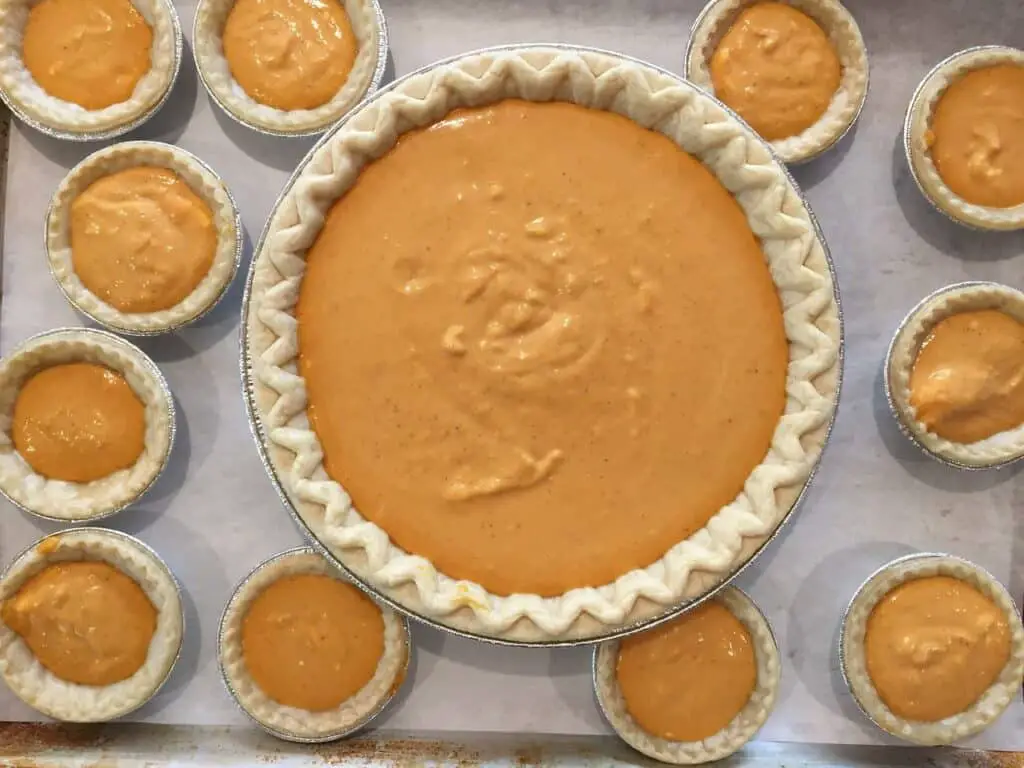 Pumpkin Pie