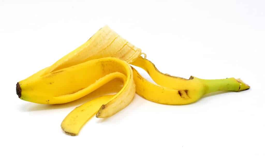 are banana peels good for dogs