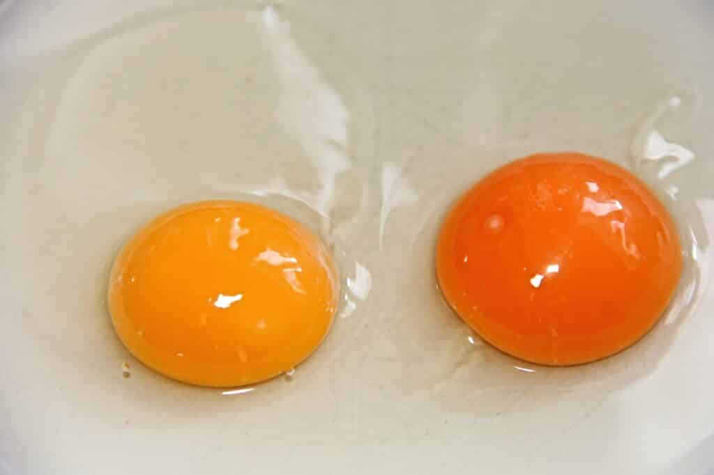 egg yolks raw