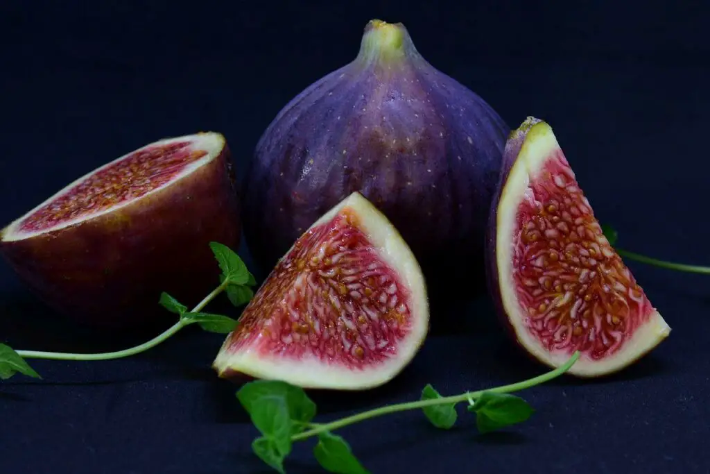 are fresh figs good for dogs