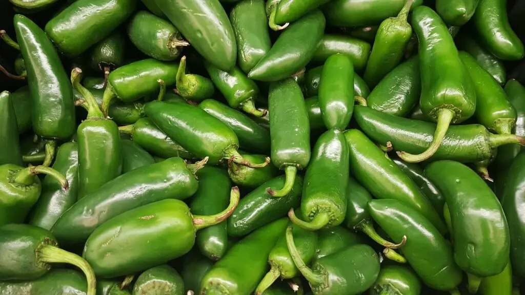 jalapenos