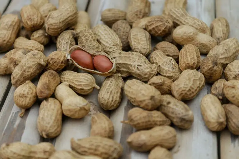 Can Dogs Eat Peanuts In The Shell?