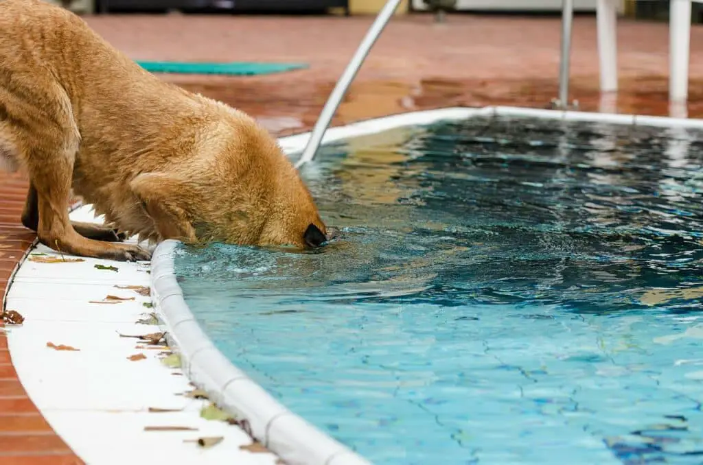 pool water