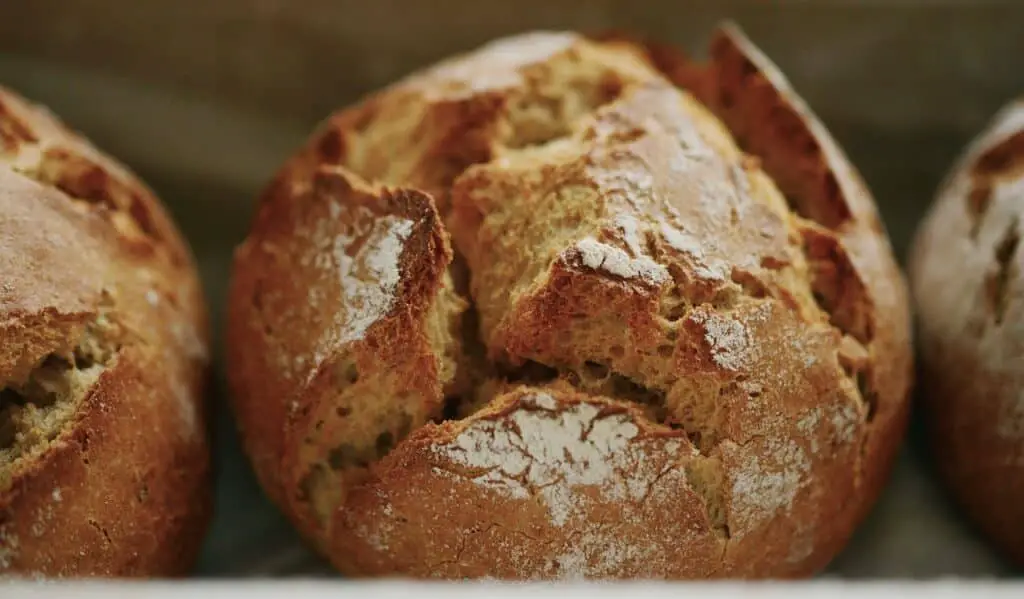 Can Dogs Eat Rye Bread With Caraway Seeds