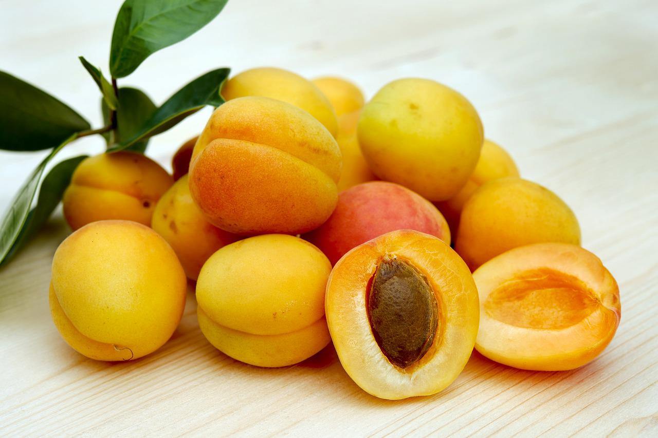 Are Apricots Good For Dogs?