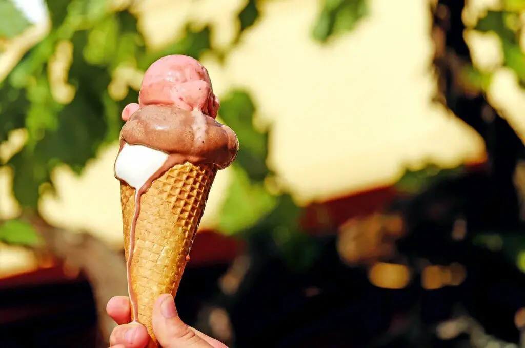 Can Dogs Eat Dairy Queen Ice Cream?