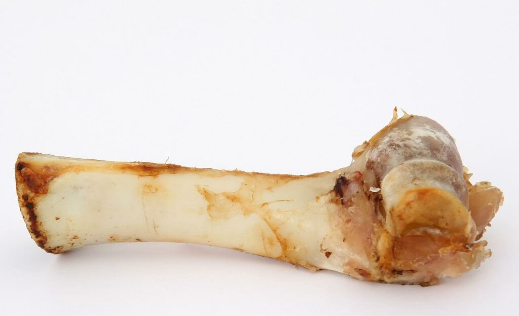 Lamb shank bone