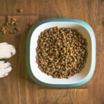 How Long Is Bagged Dog Food Good For After Being Opened?