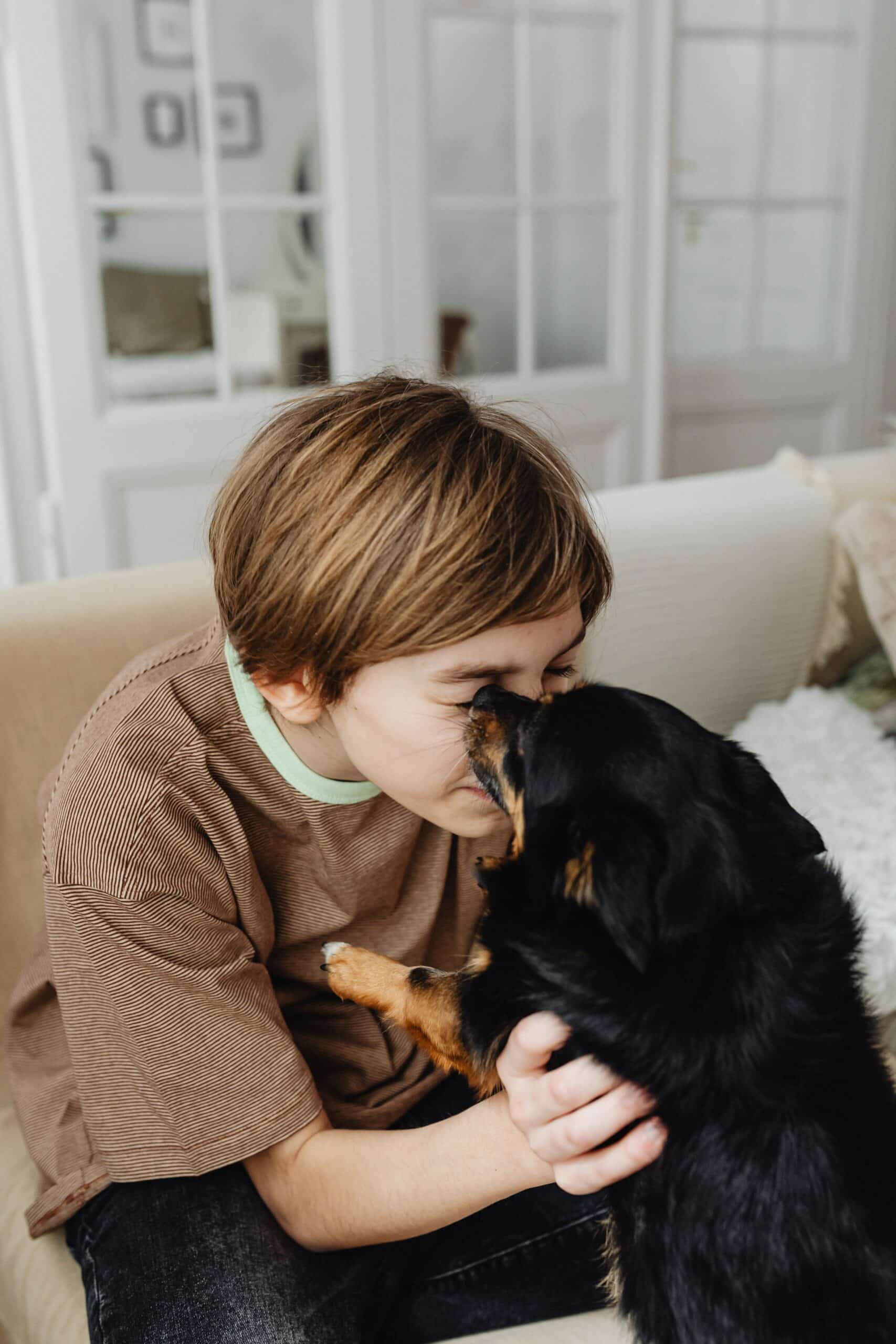 Why Does My Dog Groom Me?