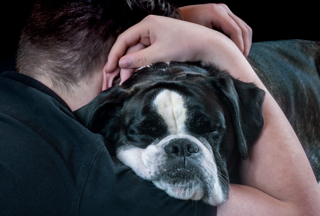 can-i-put-coconut-oil-on-my-dogs-nose