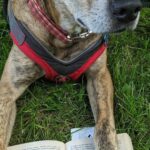 What Are the Best Dog Nutrition Books Out There?