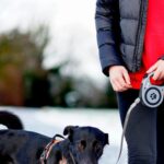What is the Best Dog Coat with Legs for UK Dog Owners?