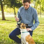 Where Can You Find the Best Dog Parks in Columbus, Ohio?