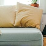 What Are the Best Pug Dog Training Tips?