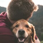 Can Cesar Millans Dog Training Tips Help You Train Your Dog?