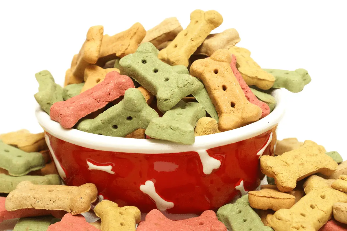 15 Amazing Dog Treats Recipes Vet Approved You Must Not Miss