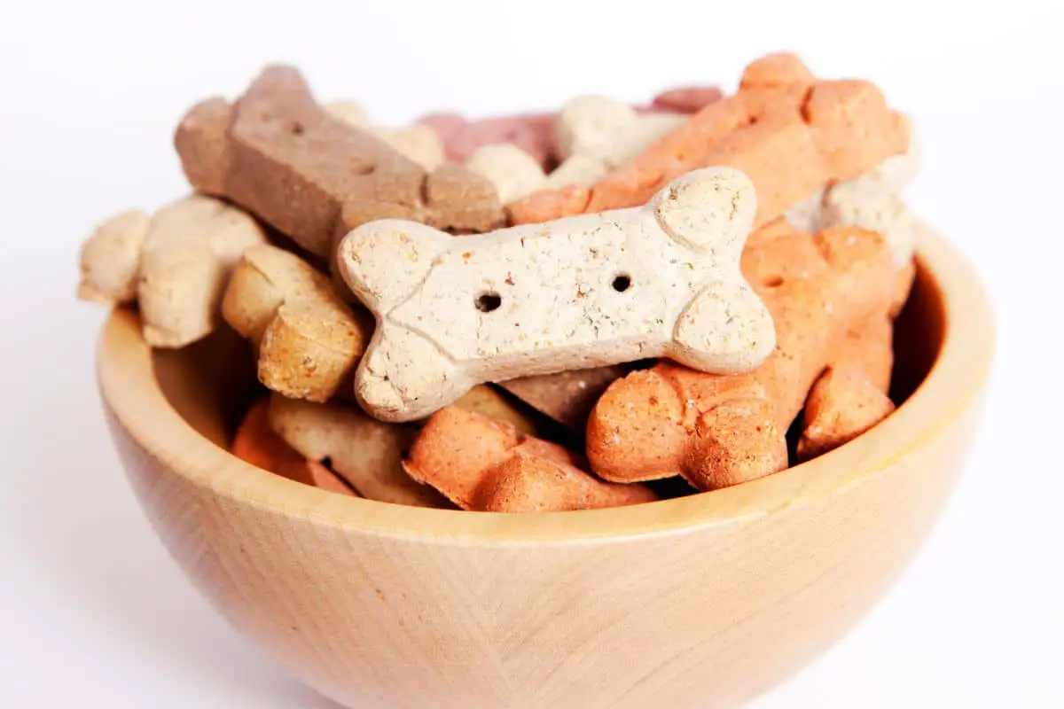 9 Greatest Low-Calorie Dog Treats Anyone With A Dog Should Check Out