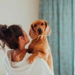 A Complete Guide To Owning A Dog For Beginners